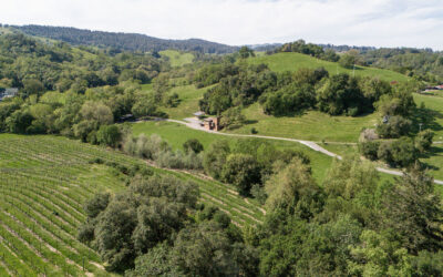 Ultimate Guide to the Best Healdsburg Wineries for White Wines